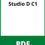 Studio D C1 Pdf Free Download